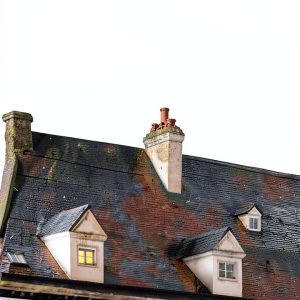 Hanover Square Press Kindle Book Literary Fiction Mystery-0