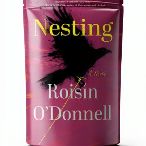 Algonquin Books Kindle eBook British Irish Literary Fiction-0