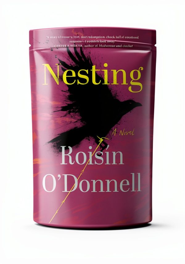 Algonquin Books Kindle eBook British Irish Literary Fiction-0