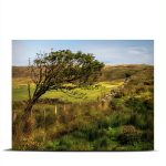 Bloomsbury Kindle eBook British Literary Fiction Coming of-0