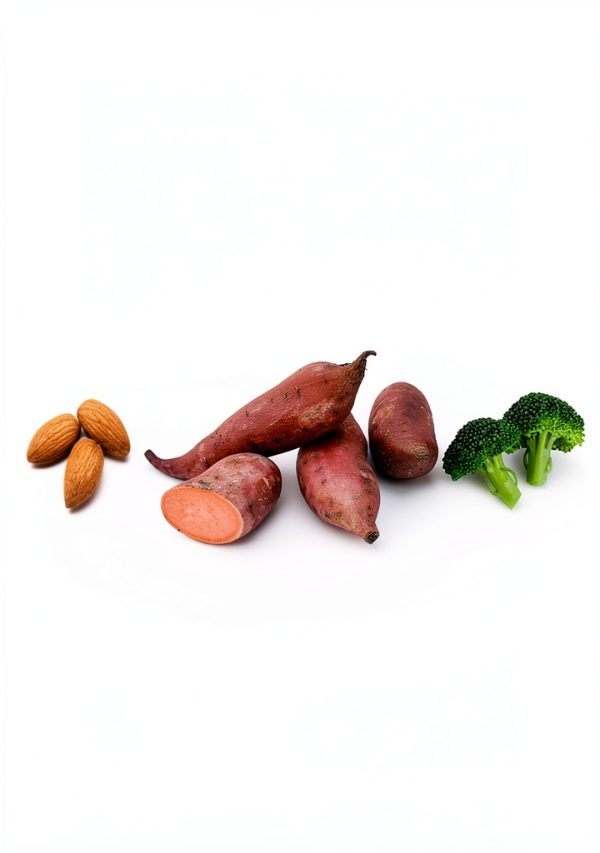 Balance Neurology eBook Alzheimer Memory Improvement English-0