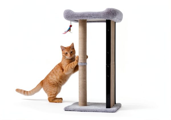 Veehoo Tall Cat Scratching Post 35" with Metal Frame and Plush Perch-2