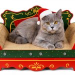 Scratching Sofa COOZMENT Christmas Cat Couch Pad Red 23x12.2x10.7-0